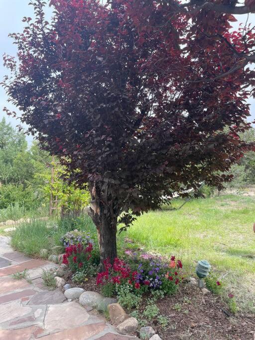 Villa Casa Manna With Mountain And Sunset Views *